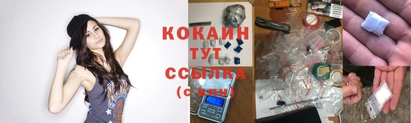 бошки Вязьма