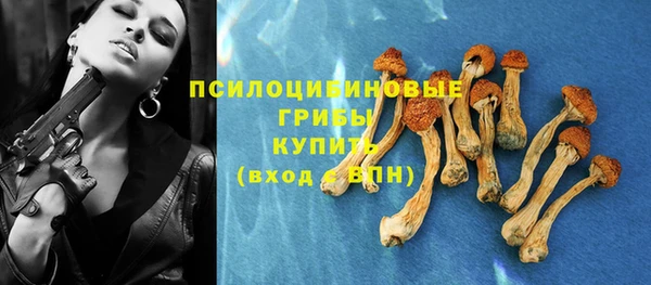 a pvp Вязники