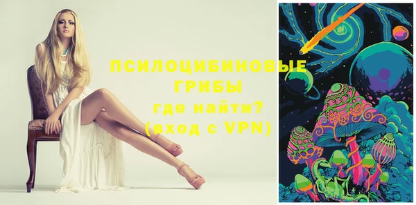 бошки Вязьма