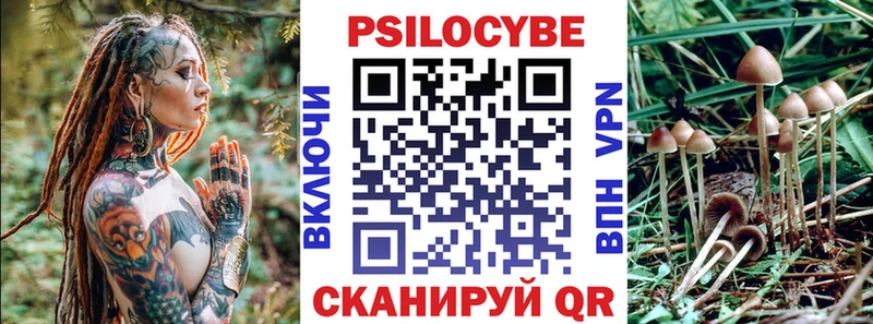 Галлюциногенные грибы MAGIC MUSHROOMS  Купить  Можга 